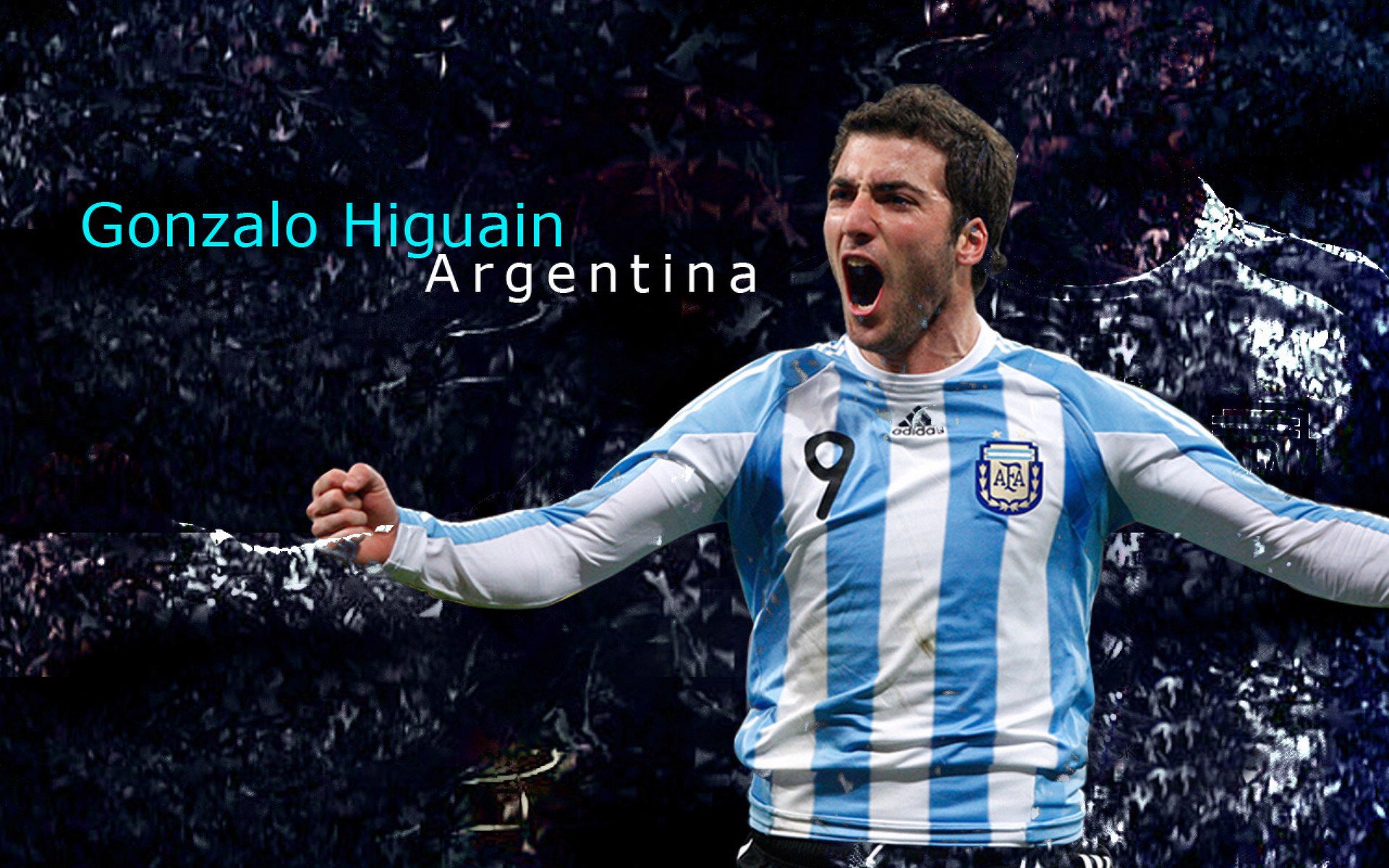 世界杯后“女球迷群体”调查显示 参与度已接近男性